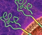 Alzheimer's Disease and Sleep Disruption