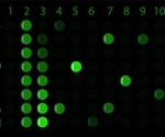 Interfering Factors in Assay Design
