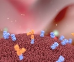 Antibody Engineering: Challenges and Perspectives