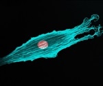 The History of Fluorescence Microscopy