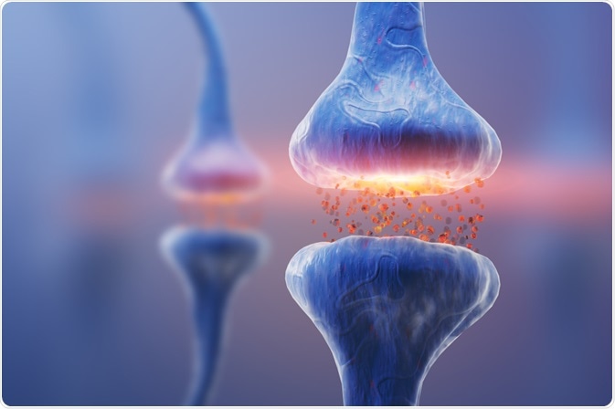 By KateStudio Neurons that are affected in Parkinson
