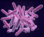 Scientist proves role of microbiome in obesity