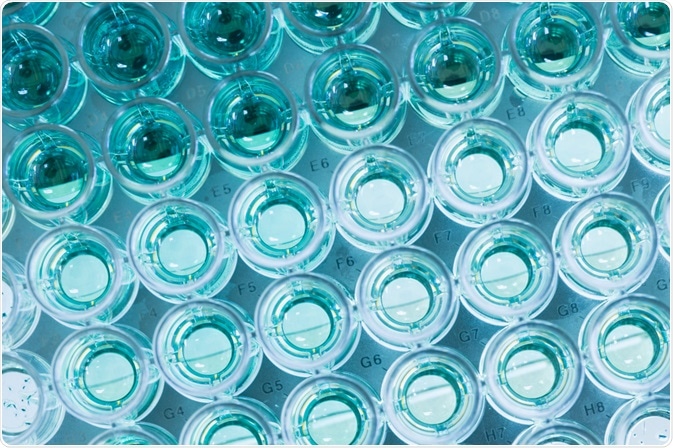 96-well late with samples for assay - By Lab Photo 96-well late with samples for assay - By Lab Photo