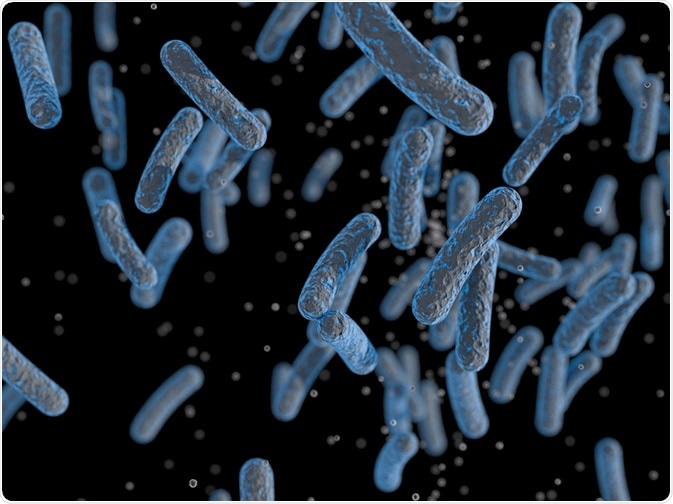 bacteria for use in metaproteomics - By OlgaReukova bacteria for use in metaproteomics - By OlgaReukova
