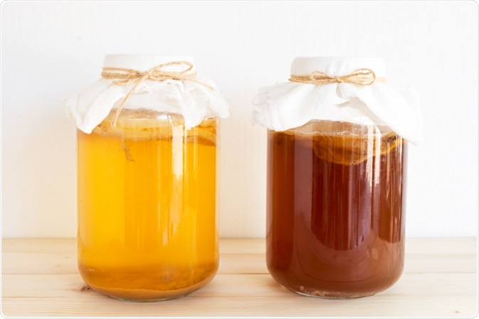 Kombucha early and late cultures - By P-fotography Kombucha early and late cultures - By P-fotography