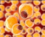 Adipose Tissue-derived Stem Cell (ADSC) Applications