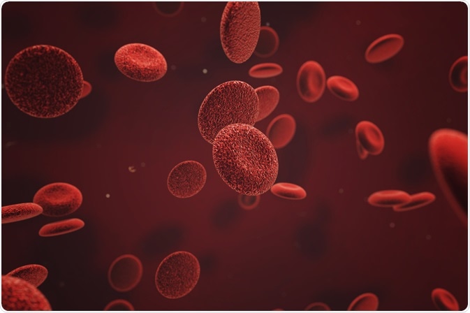 Red blood cells undergoing hematopoiesis. By Razvan Dan Paun Red blood cells undergoing hematopoiesis. By Razvan Dan Paun