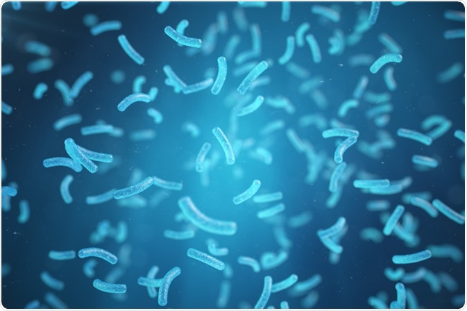 Bacteria for metaproteomic sequencing - By Rost9 Bacteria for metaproteomic sequencing - By Rost9
