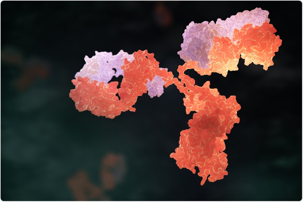 Antibody - typically used in Western blotting - Tatiana Shepeleva
