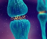 How do SSRIs Interact with Monoamine Transporters?