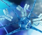 Antibody validation and rapid peptide mapping technology