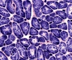 Scientists grow 3D, beating human heart tissue