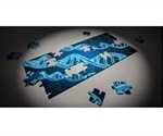 The Applications and Ethics of Gene Editing