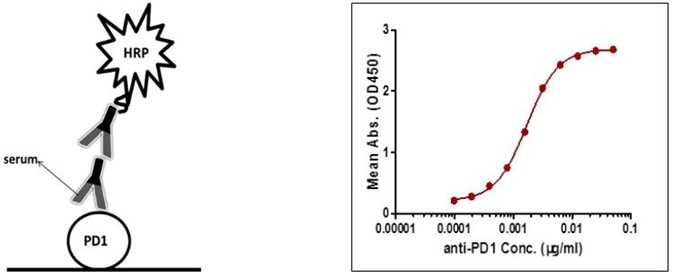 Detection of PD-1 antibody by indirect ELISA.