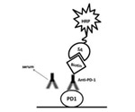 Measuring Drug Concentration in Serum - Evaluating Assay Designs