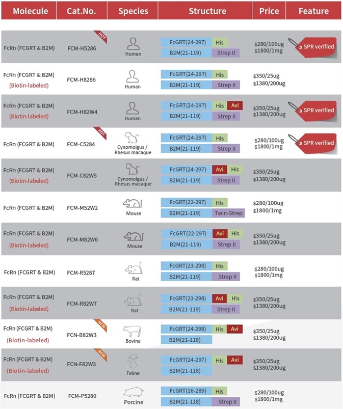 Key Features of SPR-Verified Fc Receptor Proteins