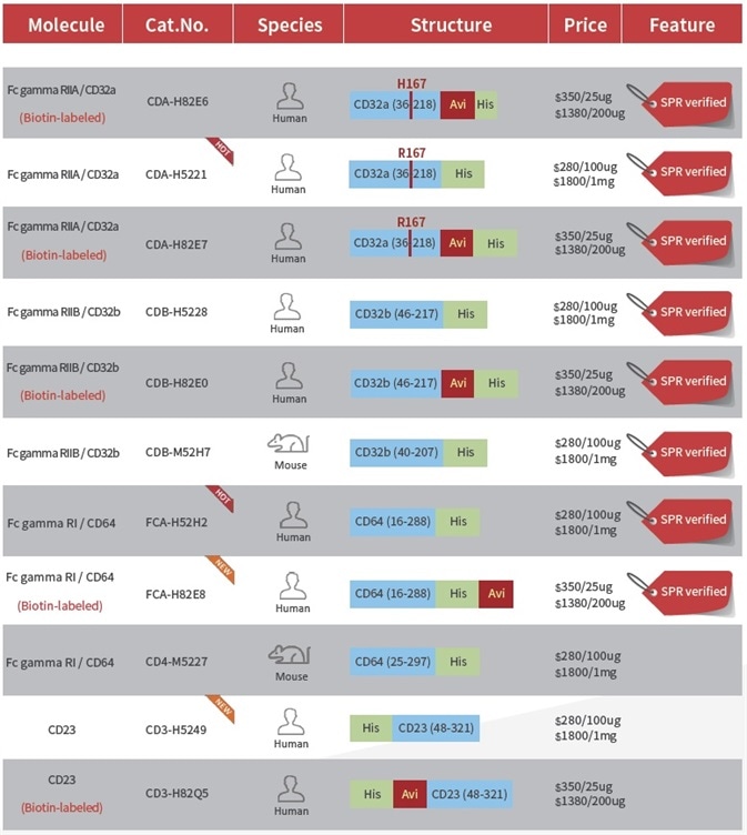Key Features of SPR-Verified Fc Receptor Proteins