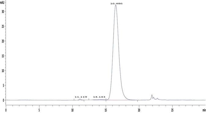 The purity of Human Fc gamma RIIA/CD32a (R167) Protein (Cat. No. CDA-H5221) is greater than 95% as determined in a HPLC analysis.