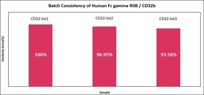Batch consistency of Human Fc gamma RIIB/CD32b (Cat. No. CDB-H5228). The Similarity for different batches is more than 90%.