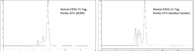 The purity of Human CD19, Fc Tag from two different vendors were determined in HPLC analysis. The result showed that the purity of ACRO’s Human CD19, Fc Tag is greater than 87%, while the purity of another vendor’s Human CD19, Fc Tag is greater than 57%.