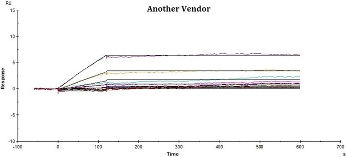 High-Affinity CD19 for CAR-T Cell Therapy