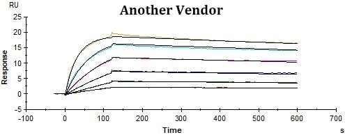 High-Affinity CD19 for CAR-T Cell Therapy