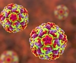 What is the Common Cold?