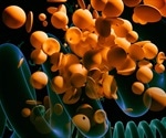 Advantages of Fluorescent Nanoparticles