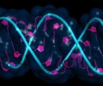 Short Hairpin RNA (shRNA) Interference