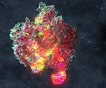 New discovery will improve the safety and predictability of CRISPR