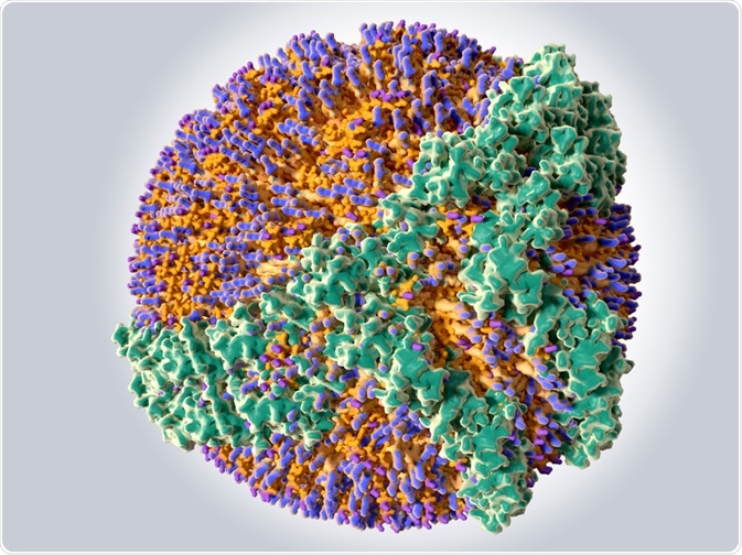 A HDL illustration - By Juan Gaertner A HDL illustration - By Juan Gaertner