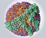 Classifying Lipoproteins: Types and Methodologies