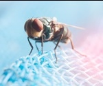 African Sleeping Sickness Treatments