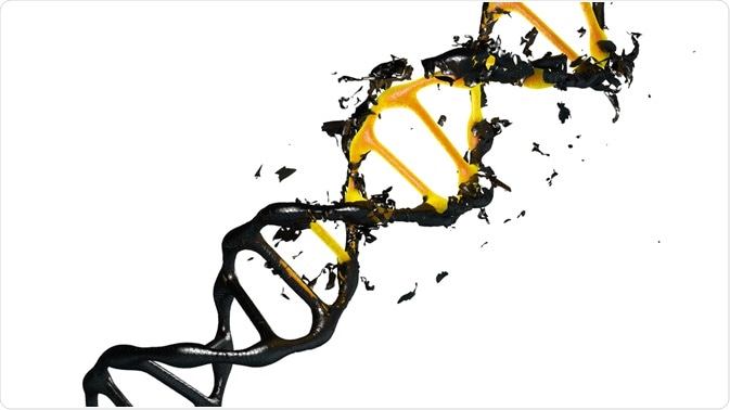 Illustration of DNA degradation - by Pinhead Studio Illustration of DNA degradation - by Pinhead Studio