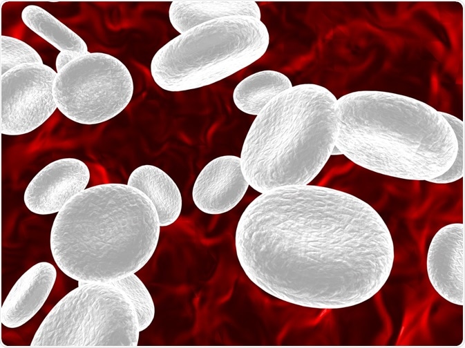 White blood cells - an illustration by Sebastian Tomus White blood cells - an illustration by Sebastian Tomus