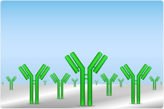 Antibodies -By extender_01 Antibodies -By extender_01