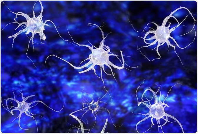 mirror neurons - an illustration - by xrender