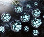Nanogel Properties