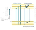 A Guide to Fluorescence