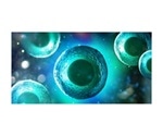 Chromatrap buffer reagents for lysing cells offer many benefits