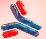 What are Polyclonal Antibodies (pAbs)?