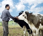 Reliable Point of Care Lactate Analysis in Cattle