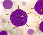 First molecular-scale images of DNA binding to an adenovirus enzyme