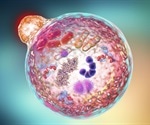 Autophagy-based mechanism provides insight into Parkinson’s disease protein secretion