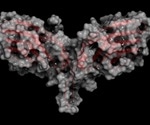 Efficacy of cancer immunotherapy increased by deactivating tumor defence mechanism