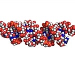 RNAi Organism Variation