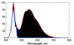 Fluoro Diving - Blue Light vs White Light with Filter