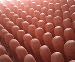 Organ chip technology improves study of the intestine for personalized medicine
