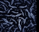 RNAi Biological Functions