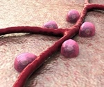Pancreatic progenitor cells could be used to treat diabetes, suggests study